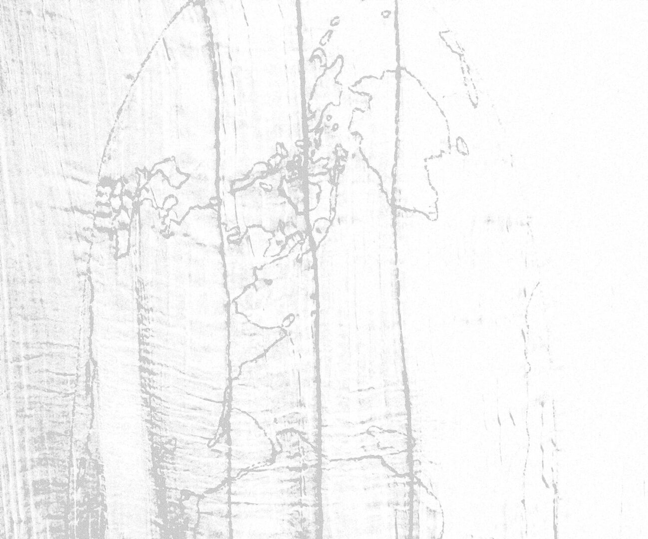 Image 03