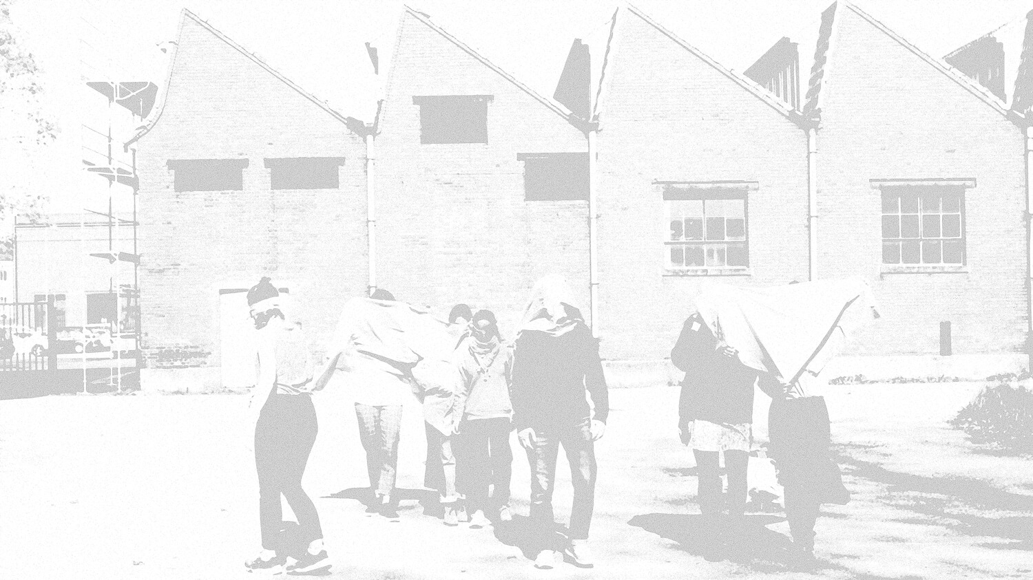 Image 16